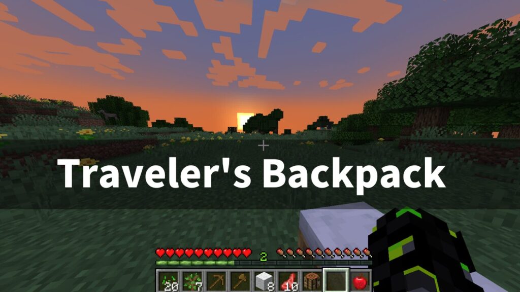 Traveler's Backpack